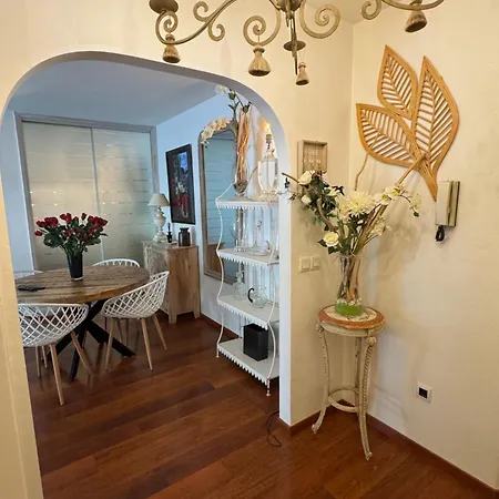 Appartement Les Alizes Cannes