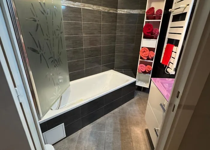 Les Alizes Apartmán Cannes