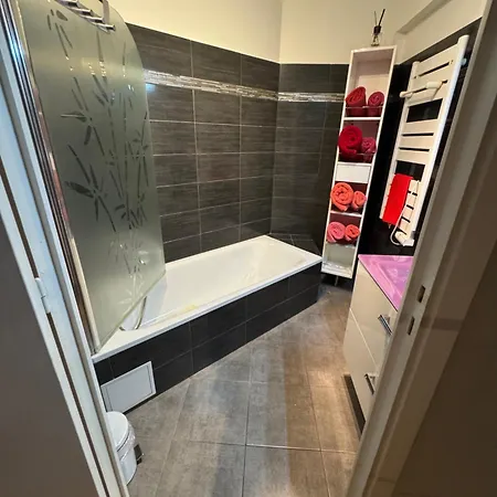 Les Alizés Apartman Cannes